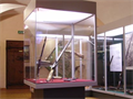 Museum Gewehre-Vitrinen